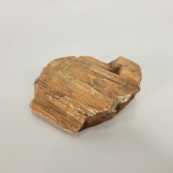 Other - Petrified Wood Small 3 Inch Raw Natural Fossil Rock Specimen Arizona Mineral